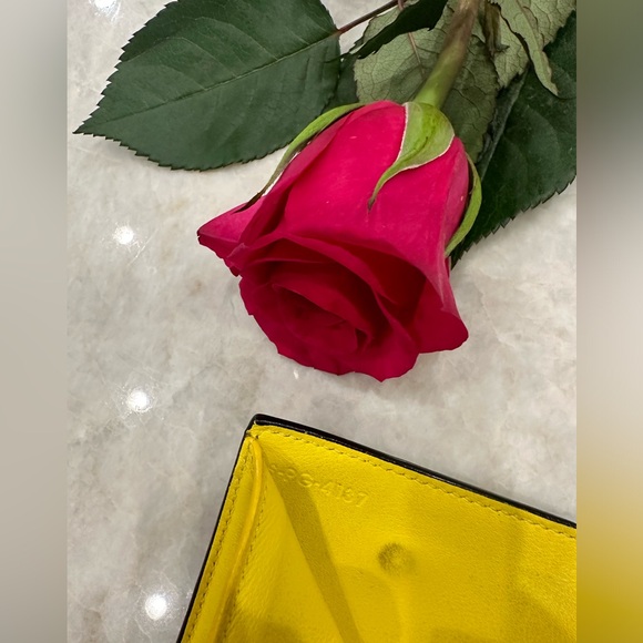 Pre loved Celine,Drummed Calfskin Small Multifunction Folded wallet,grey/yellow - Picture 10 of 11